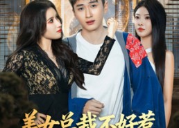 短剧《美女总裁不好惹，小神医专治不服（80集）》优质短剧完整版在线赏