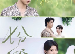 短剧《七分野（78集）》高清短剧免费在线播