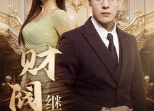 短剧《财阀继承人（91集）》短剧全集免费高清观看