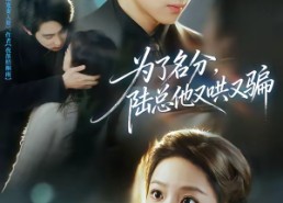 短剧《为了名分，陆总他又哄又骗（80集）》短剧完整剧情免费看