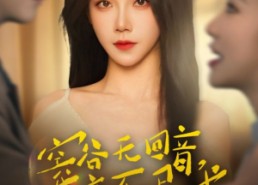 短剧《空谷无回音，我亦不屑求（60集）》短剧完整版免费在线看