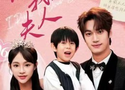 短剧《顾总，我才是你的夫人（65集）》短剧完整资源免费享