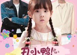 短剧《丑小鸭被哥哥们抱回家（60集）》爆火短剧在线免费享