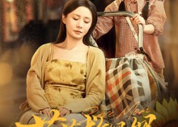 短剧《苗苗救妈妈（55集）》短剧免费全集高清点播