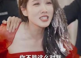 短剧《双宝联盟：妈咪火辣辣（80集）》短剧完整全集免费观赏