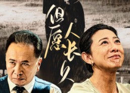 短剧《但愿人长久（80集）》免费短剧全集连续播放