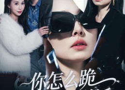 短剧《你怎么跪着和我说话（32集）》热门短剧一网打尽在线播