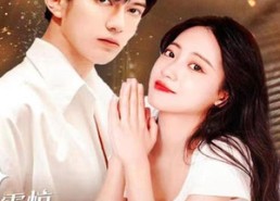 短剧《震惊！我的赘婿老公竟是帝豪总裁（100集）》短剧完整版免费观看