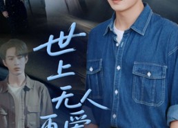 短剧《世上无人再爱我（70集）》短剧全集免费高清观看