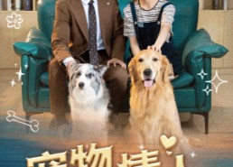 短剧《宠物情人（42集）》短剧高清全集免费点播