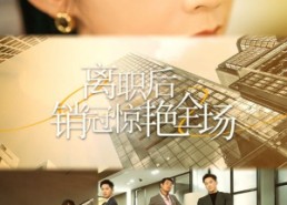 短剧《离职后销冠惊艳全场（30集）》免费短剧全集流畅播放