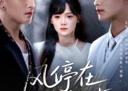 短剧《风停在转身时（72集）》精彩短剧全集免费览