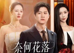 短剧《奈何花落爱凋零（71集）》短剧全集免费畅享观看