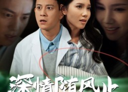 短剧《深情随风止（54集）》精彩短剧在线免费观赏