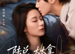 短剧《陆总，太太拿到离婚证跑了（86集）》短剧全集高清免费看