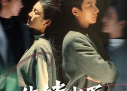 短剧《生娃当天，夫人手撕影帝（62集）》热门短剧在线速览