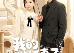 短剧《我的猫妖妻子（30集）》短剧免费全集在线速看