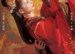 短剧《再嫁惊鸿（62集）》热门短剧免费观全