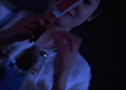 短剧《抱歉，家夫是个女儿奴（73集）》爆款短剧全集免费看