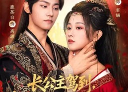 短剧《长公主驾到，战神大人是我阶下囚（78集）》热门短剧免费完整看