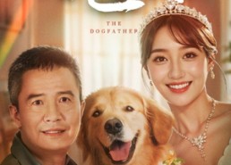 短剧《再世缘（41集）》短剧全集免费在线播