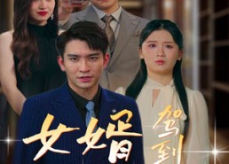 短剧《女婿驾到，通通闪开（34集）》精彩短剧一集不落看