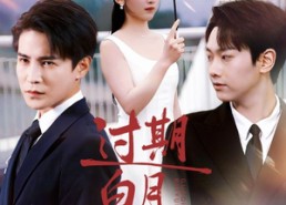 短剧《过期白月光（80集）》热门短剧全集免费直看