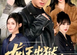 短剧《龙王出狱，我靠师姐就能无敌（80集）》短剧高清全集在线赏