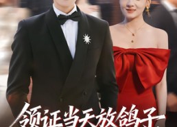 短剧《领证当天放鸽子，我靠系统逆袭（77集）》短剧高清全集在线赏鉴