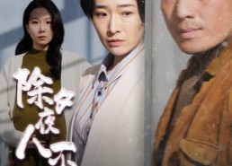 短剧《除夕夜人不归（47集）》短剧全集流畅在线播放