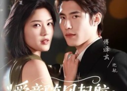 短剧《爱意随风起航（59集）》短剧完整版免费欣赏