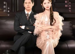 短剧《我家赘婿世无双（73集）》精彩短剧完整版在线