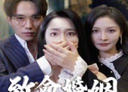 短剧《致命婚姻之新生（30集）》免费短剧高清全集看