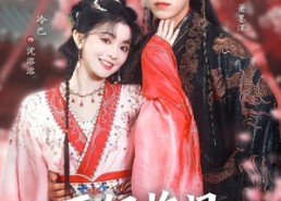 短剧《王妃临门全城上下有喜了（66集）》短剧全网热播免费看