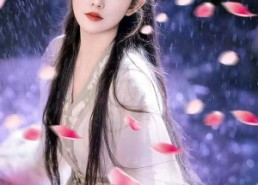 短剧《花妖传（34集）》精彩短剧免费全集赏