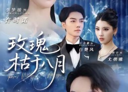 短剧《玫瑰枯于八月（80集）》精彩短剧全集免费点播