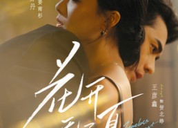 短剧《花开无尽夏（70集）》短剧免费畅享全集