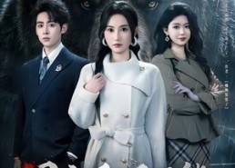 短剧《闺蜜爱上人面熊（51集）》精彩短剧完整版在线看