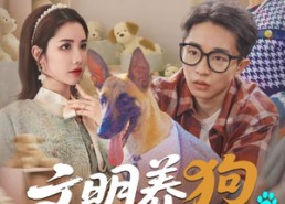 短剧《文明养狗人人有责（44集）》短剧全集免费畅享观看