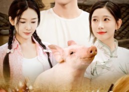 短剧《开局一头猪我在荒年养全家（65集）》热门短剧全集免费点播