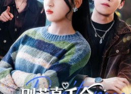 短剧《别惹真千金，她可是爽文掌公主（79集）》免费短剧在线畅享全集