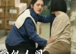 短剧《恰似人间芳菲尽（68集）》免费短剧在线高清看