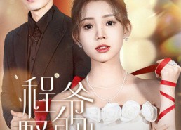 短剧《程爷的小野猫（40集）》免费短剧全集在线畅快观