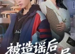 短剧《被造谣后我以身入局（60集）》超火短剧全集免费观看