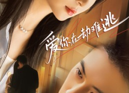 短剧《爱你在劫难逃（58集）》短剧全集免费流畅观看