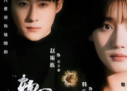 短剧《软肋（62集）》短剧全集免费在线览