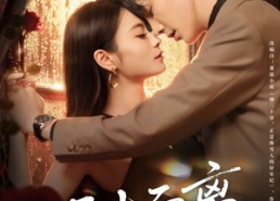 短剧《三十而离（81集）》热门短剧免费全集速看