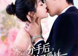 短剧《分手后我嫁给了爱情（60集）》短剧免费在线追全集