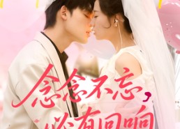 短剧《念念不忘，必有回响（80集）》短剧全集高清免费看