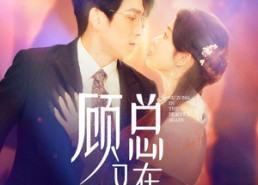 短剧《顾总又在孔雀开屏（98集）》热门短剧全集畅享看